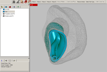 Sculpted-Shell-in-Impression.png
